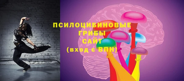 Альфа ПВП Гусев