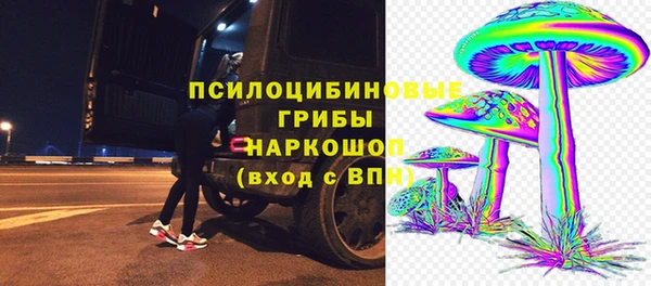 Альфа ПВП Гусев