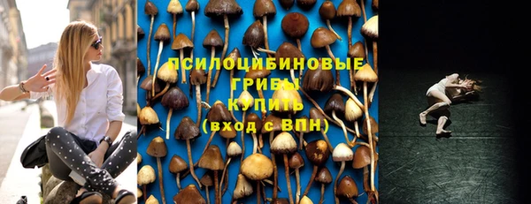 стафф Гусиноозёрск