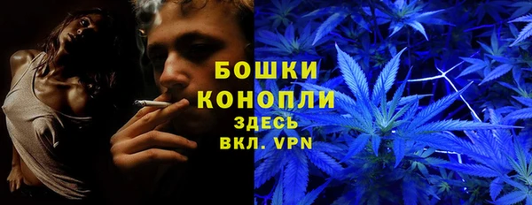 стафф Гусиноозёрск